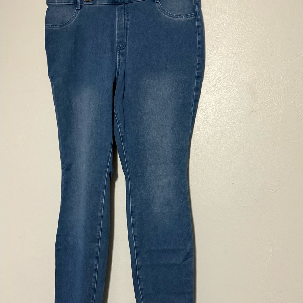 Time and Tru Women's Blue Jeggings